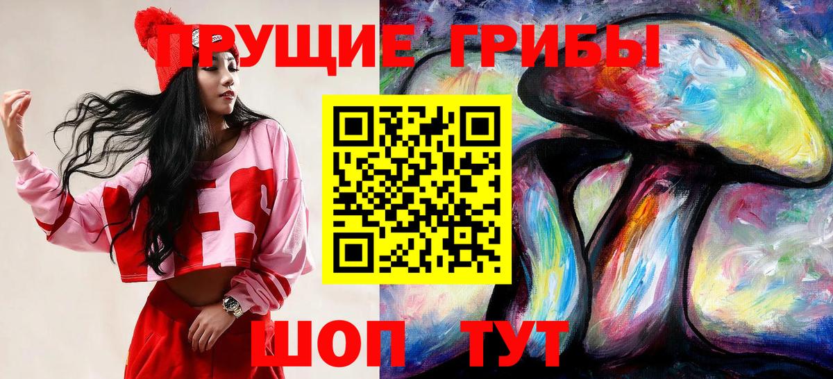Галлюциногенные грибы Cubensis Бердск