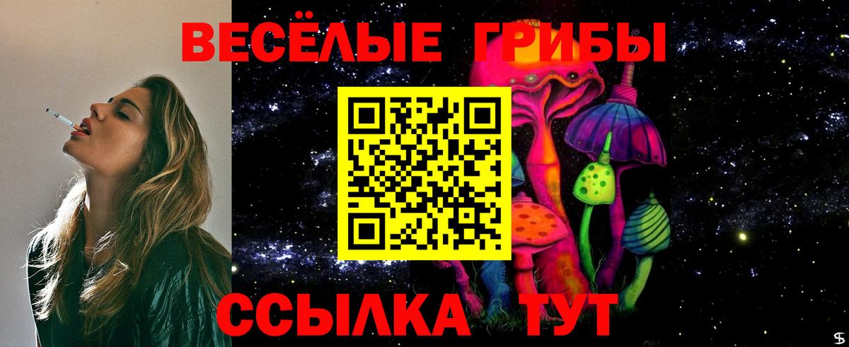 Галлюциногенные грибы Psilocybine cubensis  Галлюциногенные грибы Psilocybine cubensis  Бердск  Вход с VPN 