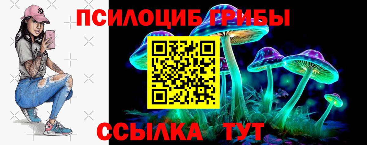 LSD-25 Бердск